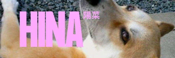 coverImage