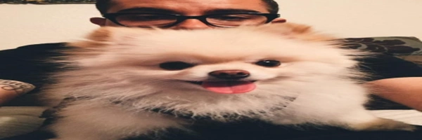 coverImage