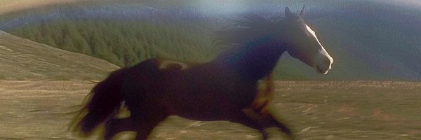 coverImage