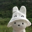 miffy 