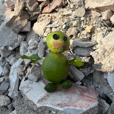the last toy
