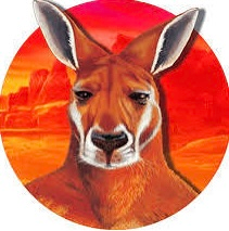 BIG RED KANGAROO