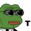 Agent T