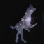 sirius the dog star
