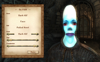Oblivion Character Creation