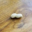 First Talking Peanut