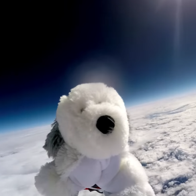 First Stuffed Dog In Space