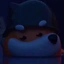 Dog with a bat