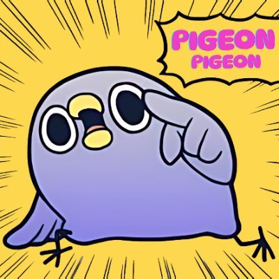 Pigeon
