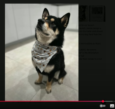 OpenAi Dog