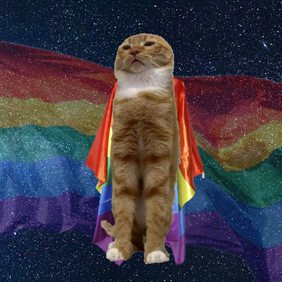 Fagcat