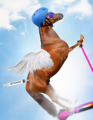 Horse on Ketamine