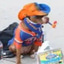 Dogwifpipe