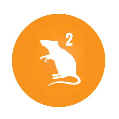 ratpoison²