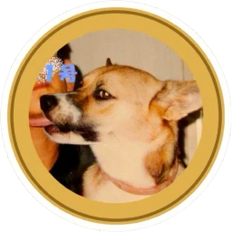The First Doge