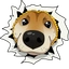 POCHITA