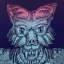 Wolfie By Matt Furie