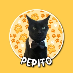 Pepito The Cat