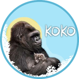 Koko The Gorilla