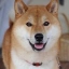 Taiki