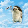 HEDGEHOG