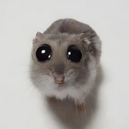 Milly The Mouse