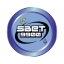 SBET9900