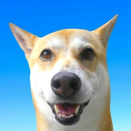 HINA
