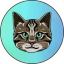 Vitalik's Family Cat