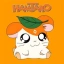 Hamtaro