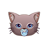 Baby Cat