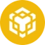 New BNB Coin