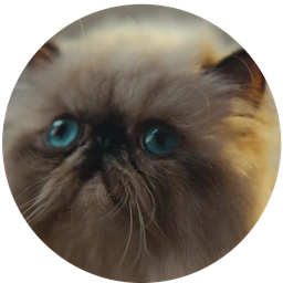 MEOW