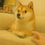 Doge Ghibli