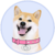 DogeGF